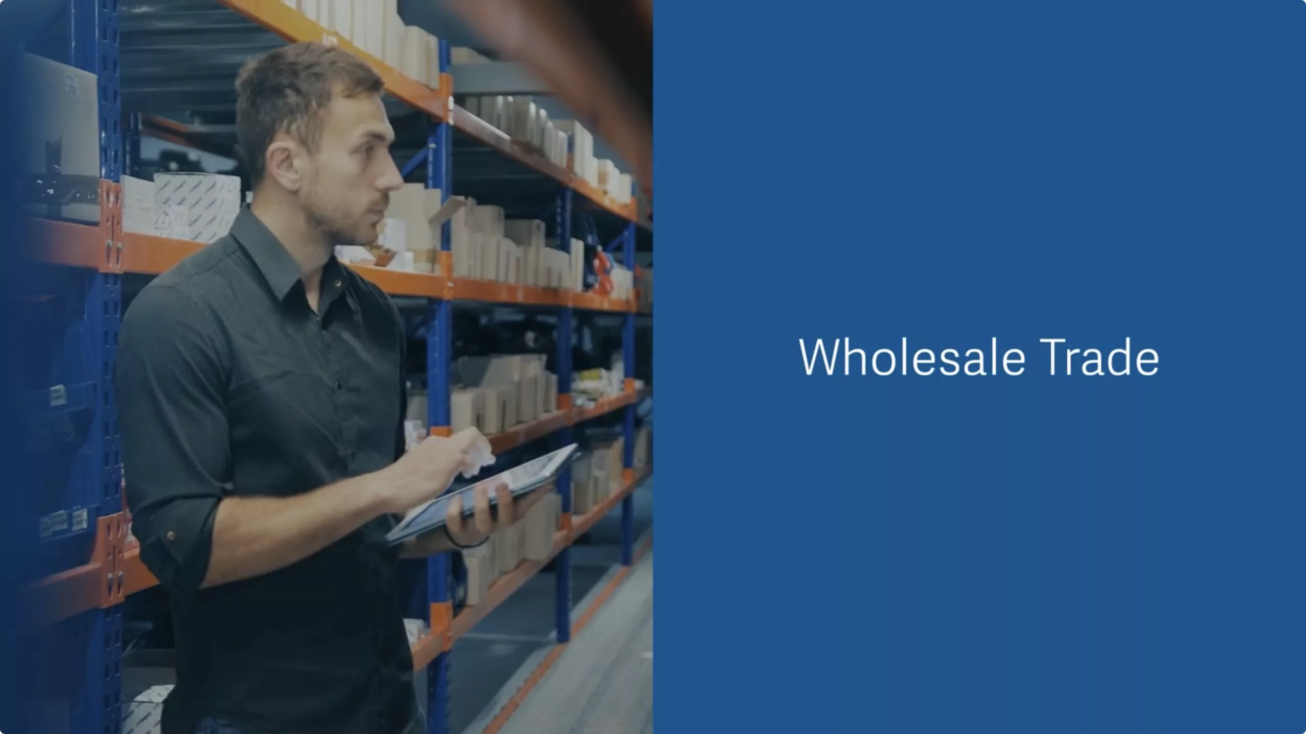 Wholesale introduction video image