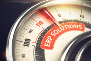 Panni Management ERP Solutions - Business Mode Concept.