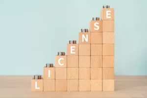 Panni Management's Guide to Sage X3 pricing