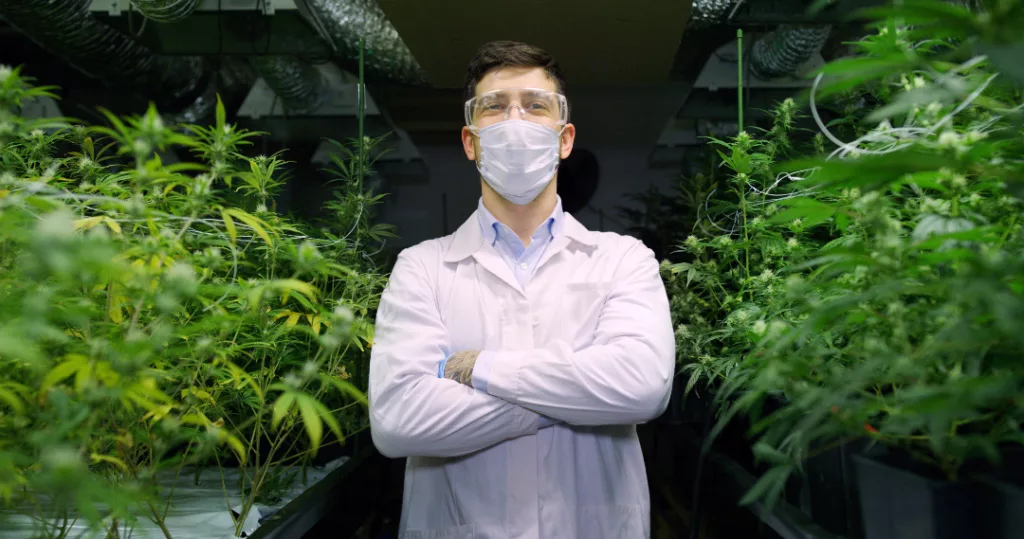 Portrait of scientist with mask in Cannabis manufacturing place | cannabis supply chain challenges