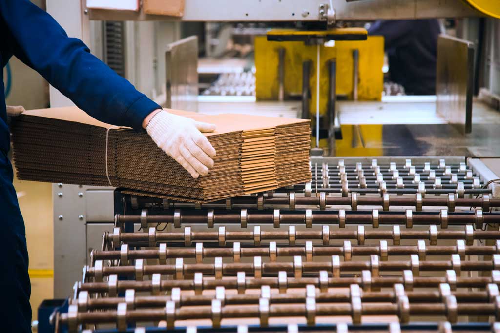 Corrugated Cartons on Conveyor Belt