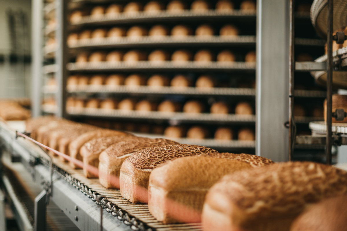 Loafs of bread in a bakery on an automated conveyor belt - Main Types of ERP Software for the Food & Beverage Industry - Panni